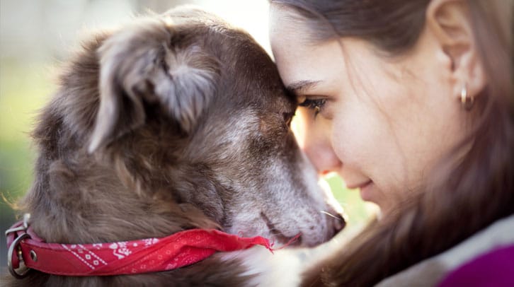 Woman hugging an older dog